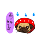 パグのあずきちゃん（個別スタンプ：23）