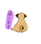 パグのあずきちゃん（個別スタンプ：25）