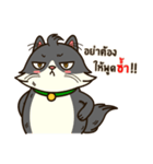 Angry Cat Jumping Punch（個別スタンプ：6）