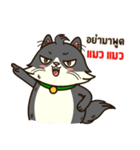 Angry Cat Jumping Punch（個別スタンプ：15）