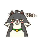 Angry Cat Jumping Punch（個別スタンプ：29）