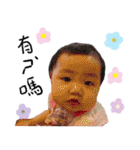 Jing Jing stickers（個別スタンプ：16）