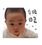Jing Jing stickers（個別スタンプ：33）