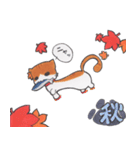 ぷくぷくねこ（個別スタンプ：37）