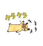 Hamster KINTARO（個別スタンプ：6）