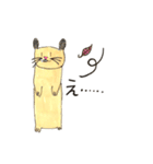 Hamster KINTARO（個別スタンプ：13）