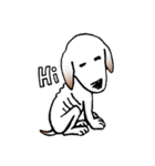 Stray doggy-Ho Home（個別スタンプ：1）