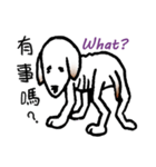 Stray doggy-Ho Home（個別スタンプ：10）