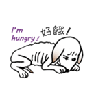 Stray doggy-Ho Home（個別スタンプ：11）