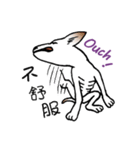 Stray doggy-Ho Home（個別スタンプ：18）