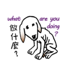 Stray doggy-Ho Home（個別スタンプ：19）