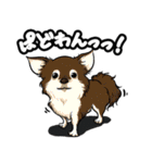 パフォーマンスチームPADMAスタンプ！（個別スタンプ：23）