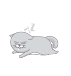 Mean Cats（個別スタンプ：20）