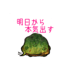 うみがめエディの気持ち 2（個別スタンプ：19）