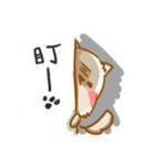 silly pudding（個別スタンプ：24）