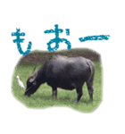 そこらへんにいる生き物たちスタンプ（個別スタンプ：2）