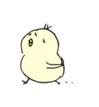 ぴよこちゃま。（個別スタンプ：5）