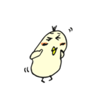 ぴよこちゃま。（個別スタンプ：9）