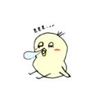 ぴよこちゃま。（個別スタンプ：16）