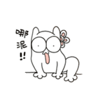 what's the cat（個別スタンプ：5）
