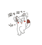 what's the cat（個別スタンプ：17）