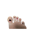 toe（個別スタンプ：6）