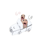 toe（個別スタンプ：12）
