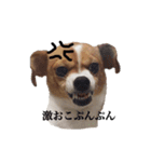僕はまめたろう。（個別スタンプ：2）
