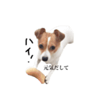僕はまめたろう。（個別スタンプ：3）