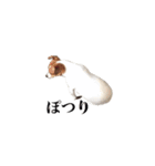 僕はまめたろう。（個別スタンプ：7）