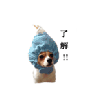 僕はまめたろう。（個別スタンプ：11）
