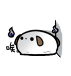 super white dog（個別スタンプ：26）