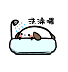 super white dog（個別スタンプ：37）