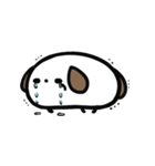 super white dog（個別スタンプ：40）