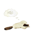 Kamoshi the platypus（個別スタンプ：21）