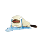 Kamoshi the platypus（個別スタンプ：27）