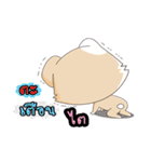 Haji Rab（個別スタンプ：25）