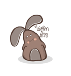 Rabbit Spinning Puan（個別スタンプ：11）