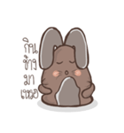 Rabbit Spinning Puan（個別スタンプ：13）