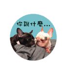 Maru's Humorous Life（個別スタンプ：12）