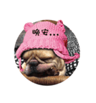 Maru's Humorous Life（個別スタンプ：22）