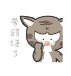 Mr Grey Little Cat with TC（個別スタンプ：17）