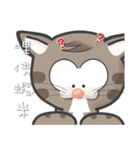 Mr Grey Little Cat with TC（個別スタンプ：22）