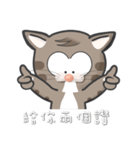 Mr Grey Little Cat with TC（個別スタンプ：26）