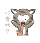 Mr Grey Little Cat with TC（個別スタンプ：27）