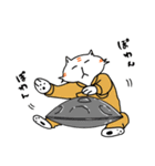 La Señas ラセーにゃん（個別スタンプ：3）