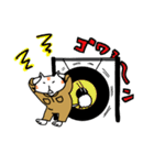 La Señas ラセーにゃん（個別スタンプ：5）