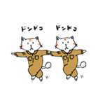 La Señas ラセーにゃん（個別スタンプ：6）