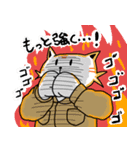 La Señas ラセーにゃん（個別スタンプ：16）