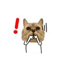 A cat from Saturn 4（個別スタンプ：9）